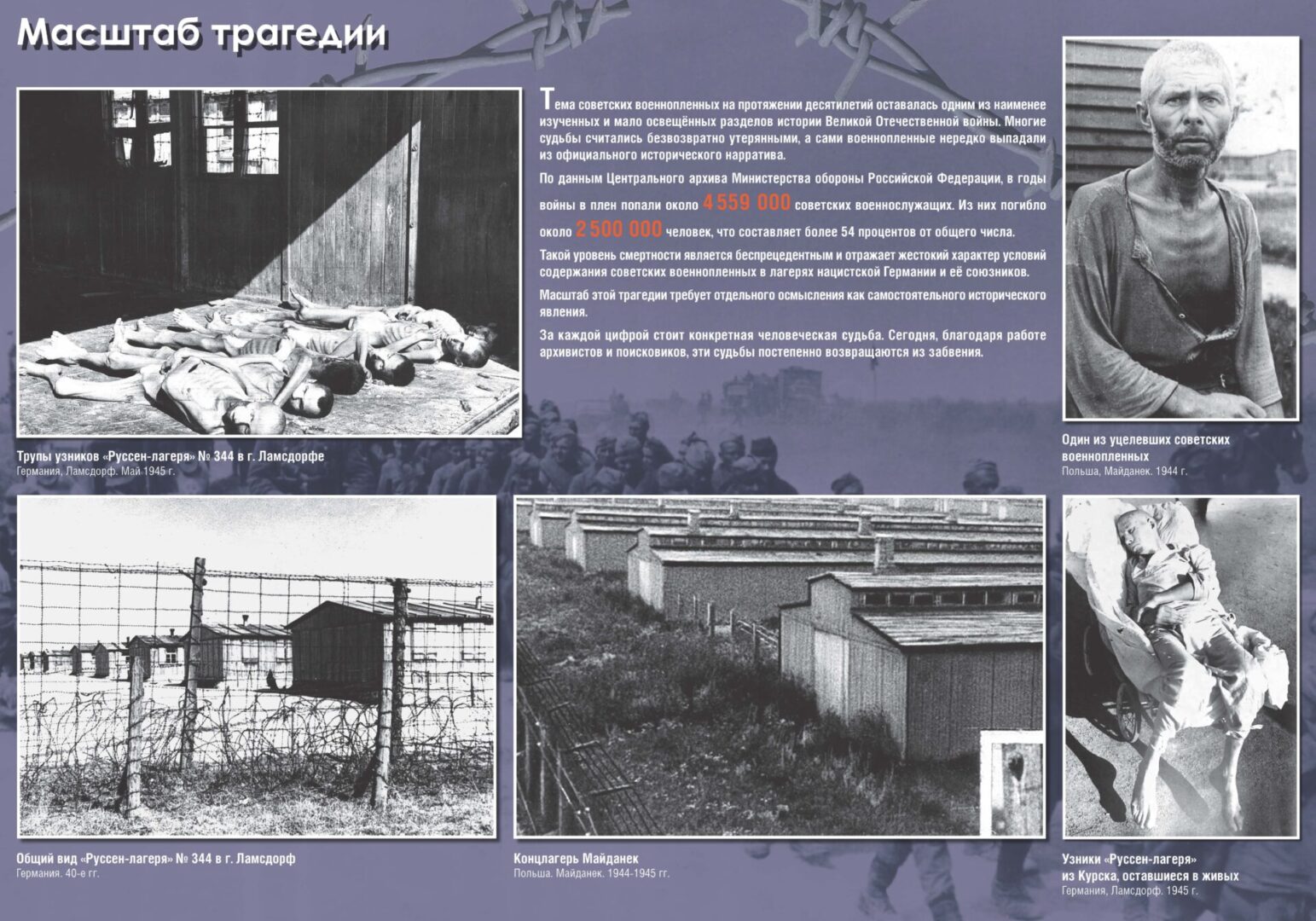 Изображение с эффектом наведения